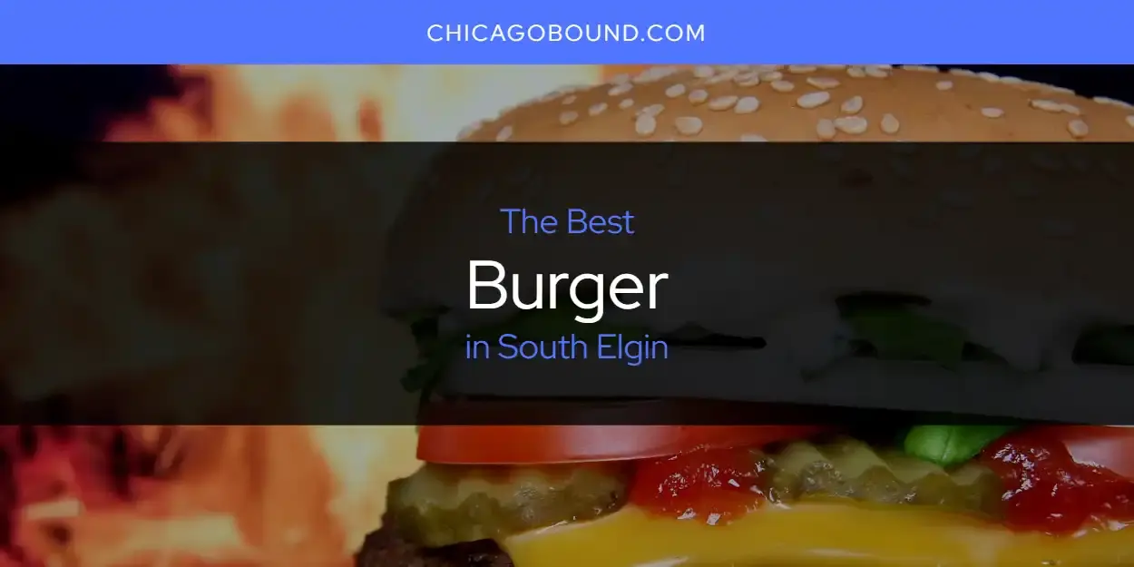 The Absolute Best Burger in South Elgin  [Updated 2024]