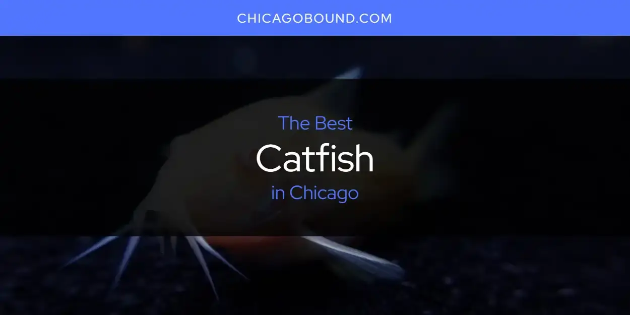 The Absolute Best Catfish in Chicago  [Updated 2024]