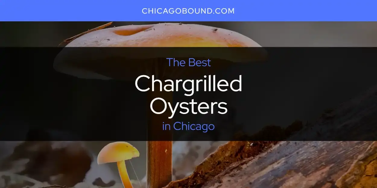 The Absolute Best Chargrilled Oysters in Chicago  [Updated 2024]