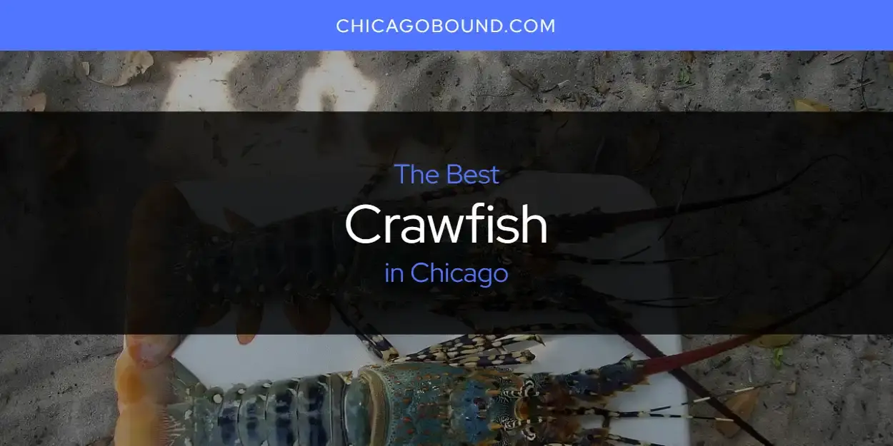 The Absolute Best Crawfish in Chicago  [Updated 2024]