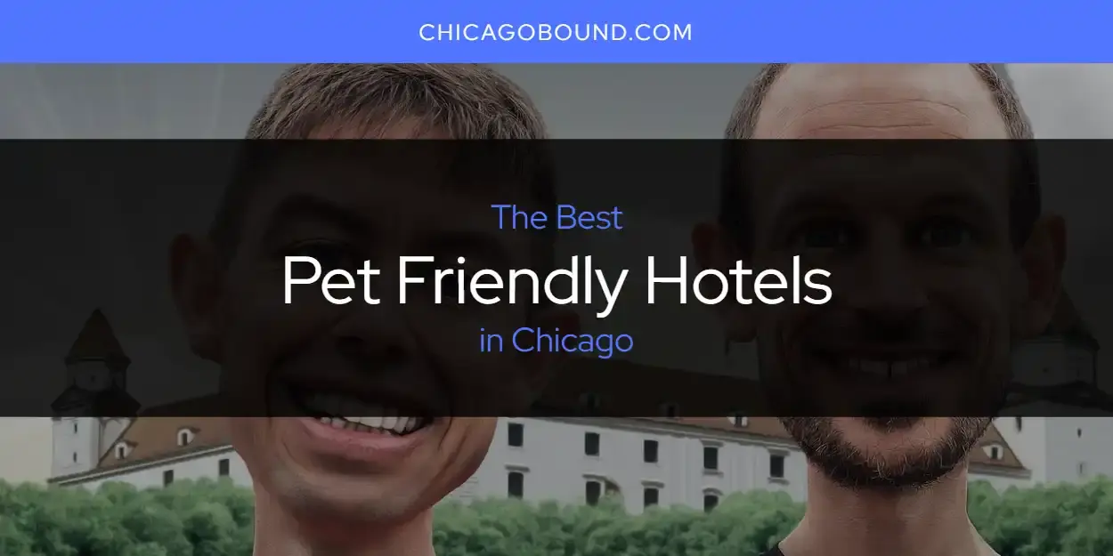 Chicago's Best Pet Friendly Hotels [Updated 2024]