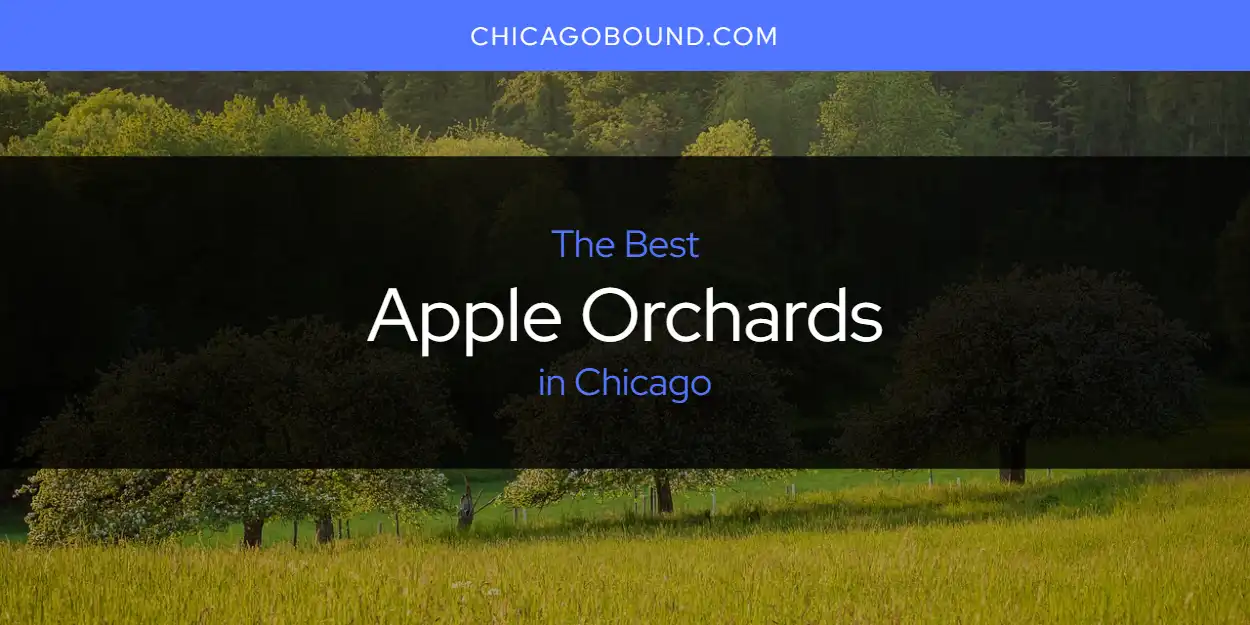 The Best Apple Orchards in Chicago List