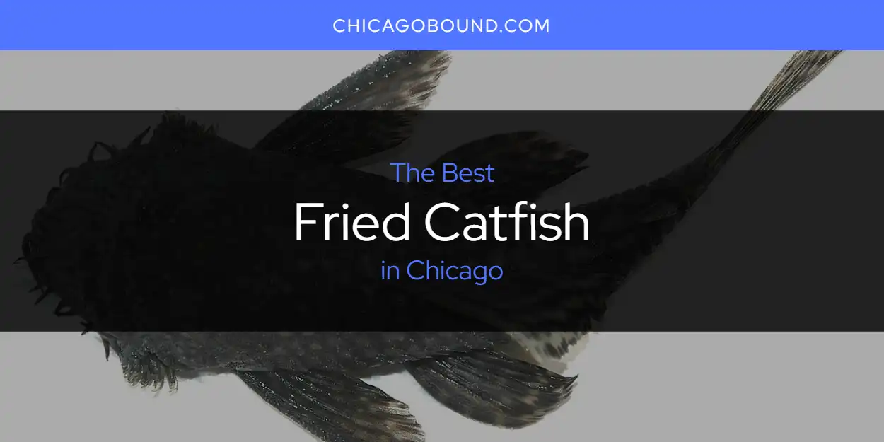 Best Fried Catfish in Chicago: Complete Guide